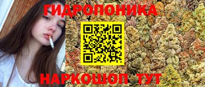 амф Краснокаменск