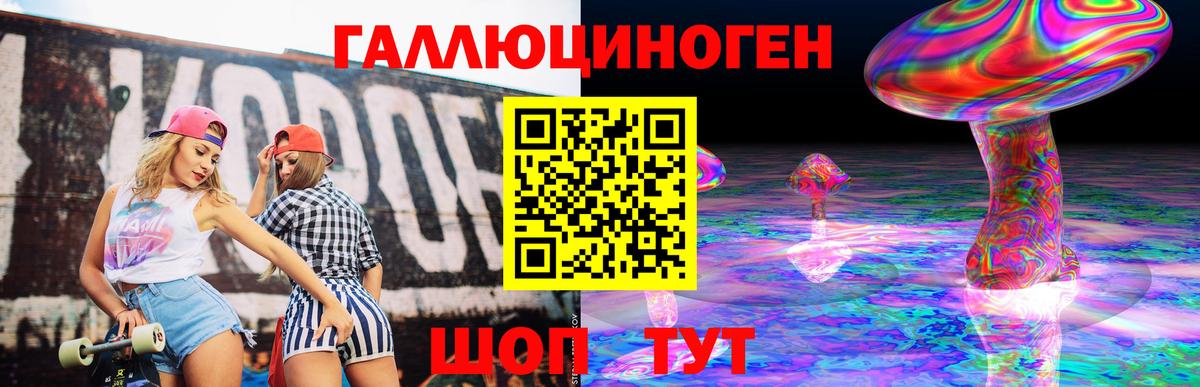 Балтийск  наркошоп  Вход с VPN  Псилоцибиновые грибы Psilocybe 