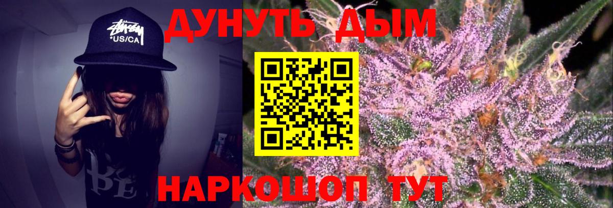 Канабис OG Kush  Вход с VPN  Каннабис ГИДРОПОН  Балтийск 